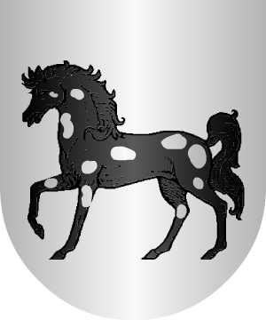 ESCUDO SIGUIENTE